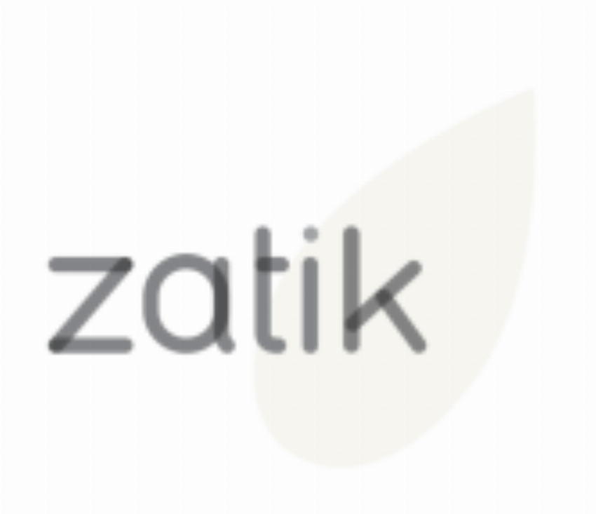 Zatik Inc