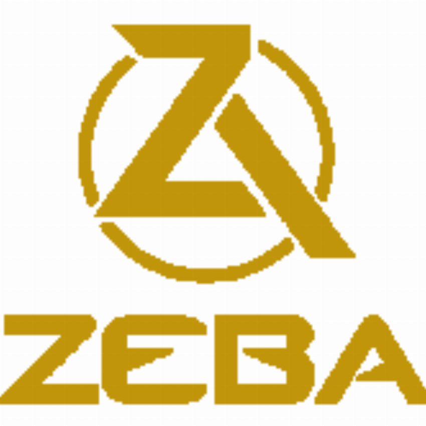 Zeba Shoes