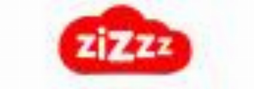 Zizzz
